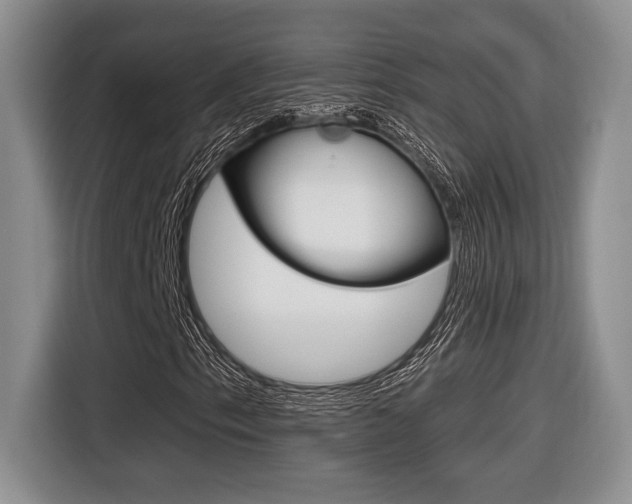 X0000116631153200912110955