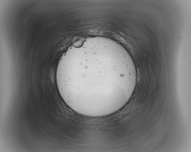 X0000116631154200912110955