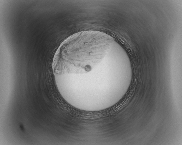 X0000116631156200912110955