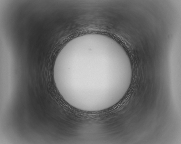 X0000116631157200912110955