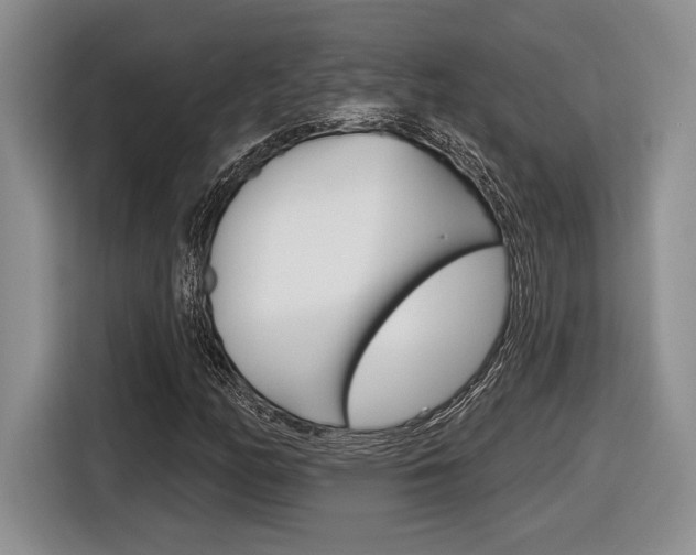 X0000116631158200912110955