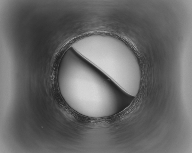 X0000116631159200912110955