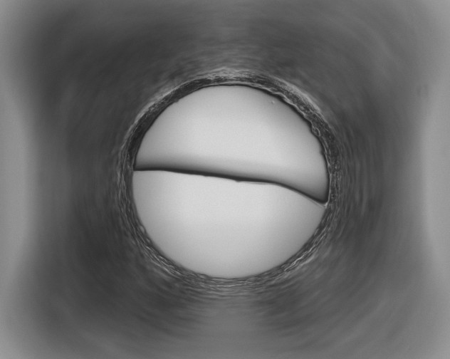 X0000116631160200912110955