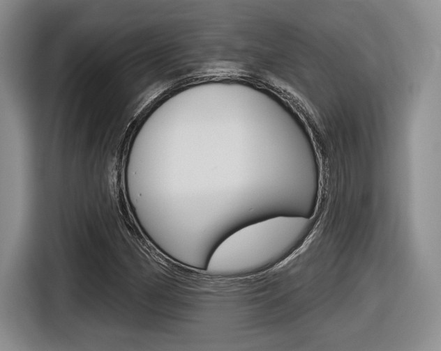 X0000116631162200912110955