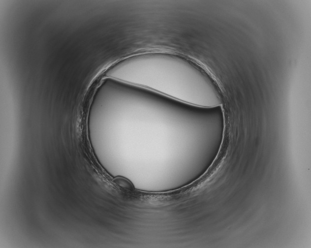 X0000116631163200912110955