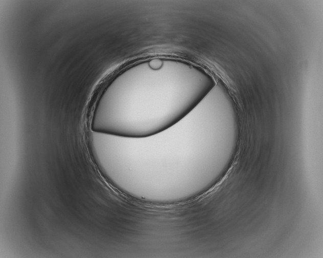 X0000116631164200912110955