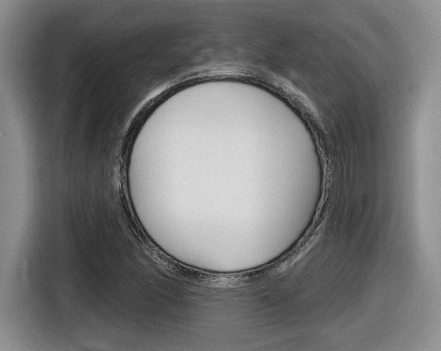 X0000116631166200912110955