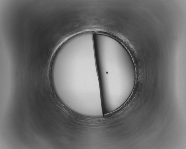 X0000116631167200912110955