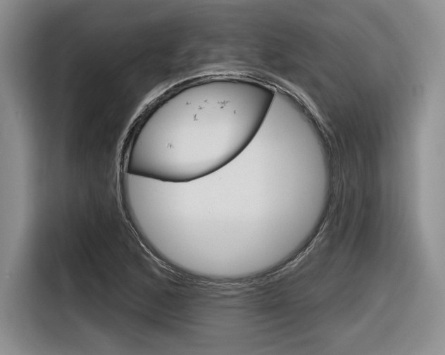 X0000116631168200912110955