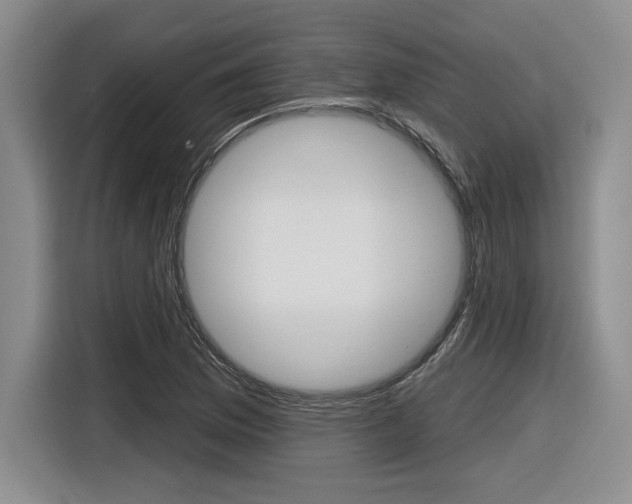 X0000116631169200912110955