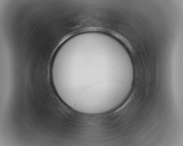 X0000116631170200912110955