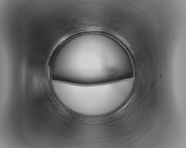 X0000116631171200912110955
