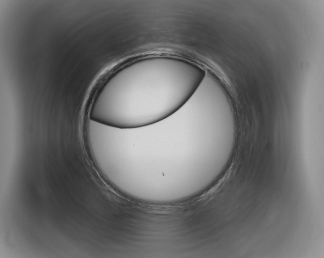X0000116631172200912110955