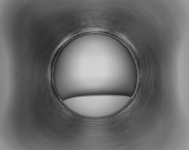X0000116631173200912110955