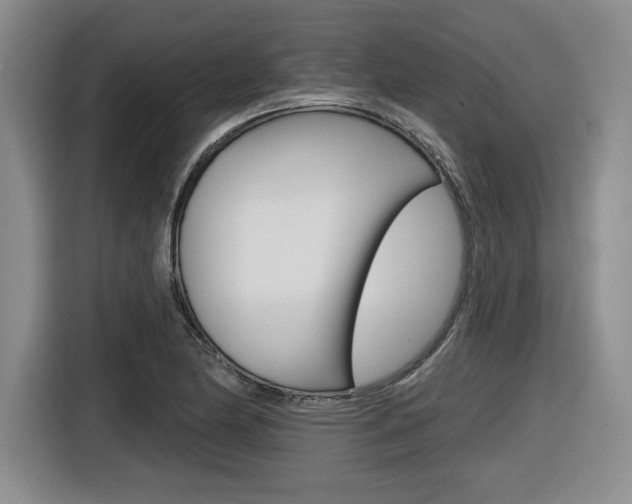 X0000116631174200912110955