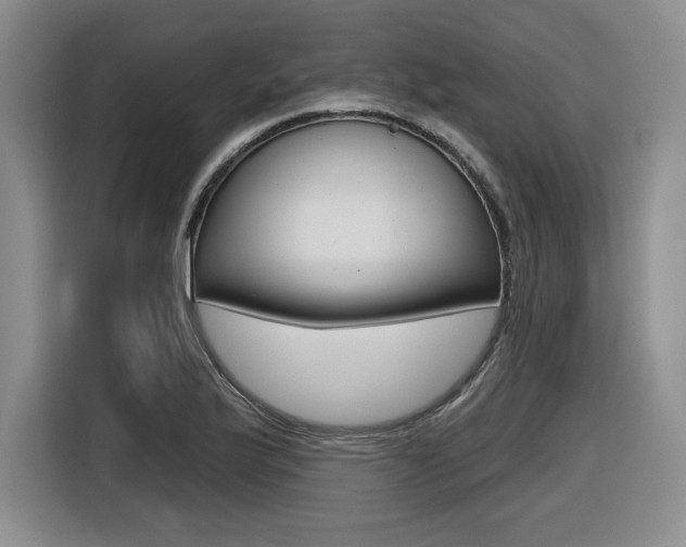 X0000116631175200912110955
