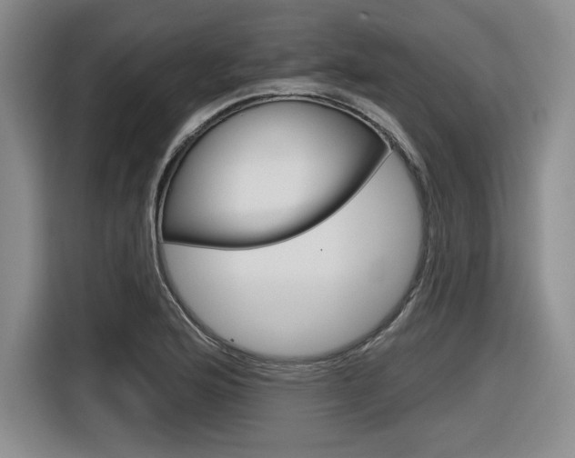X0000116631176200912110955
