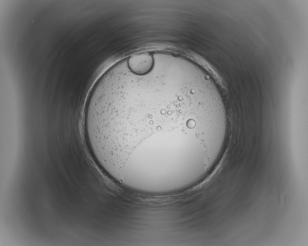 X0000116631178200912110955