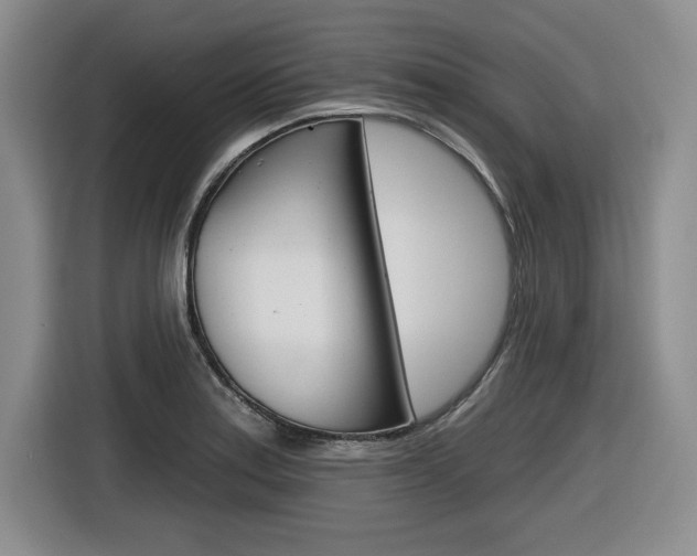 X0000116631179200912110955