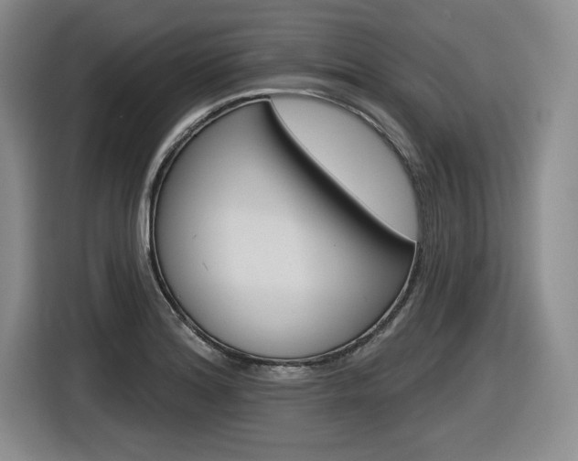 X0000116631180200912110955