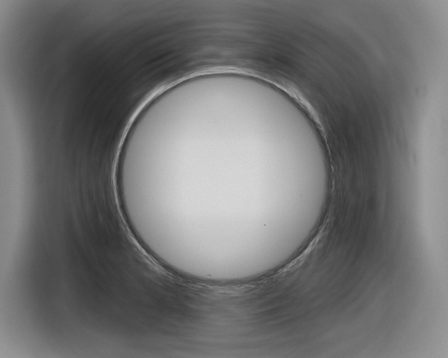 X0000116631181200912110955