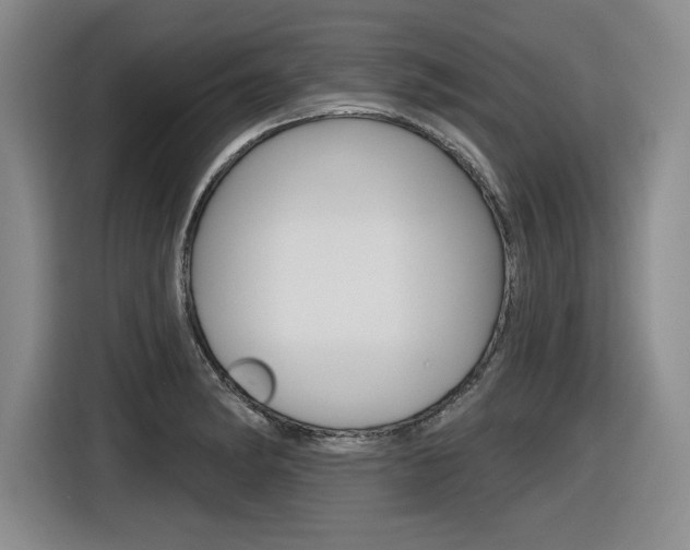 X0000116631182200912110955
