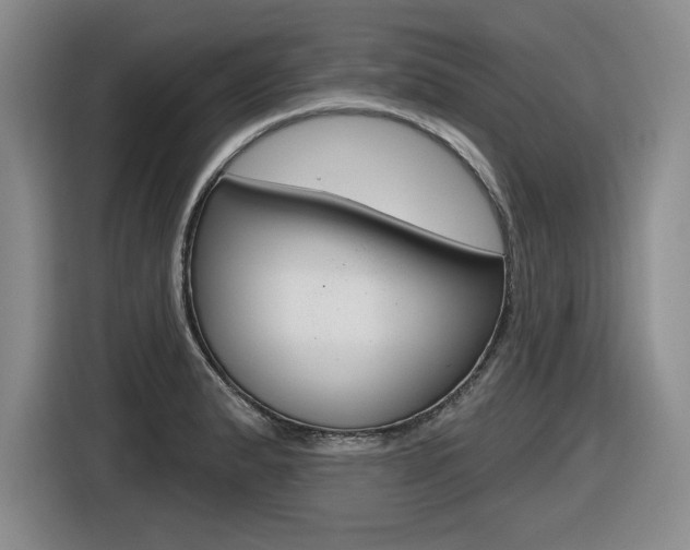 X0000116631183200912110955