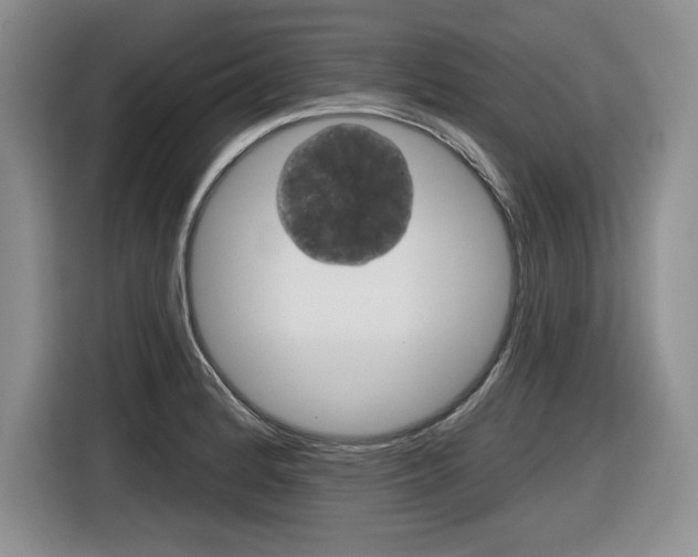 X0000116631184200912110955