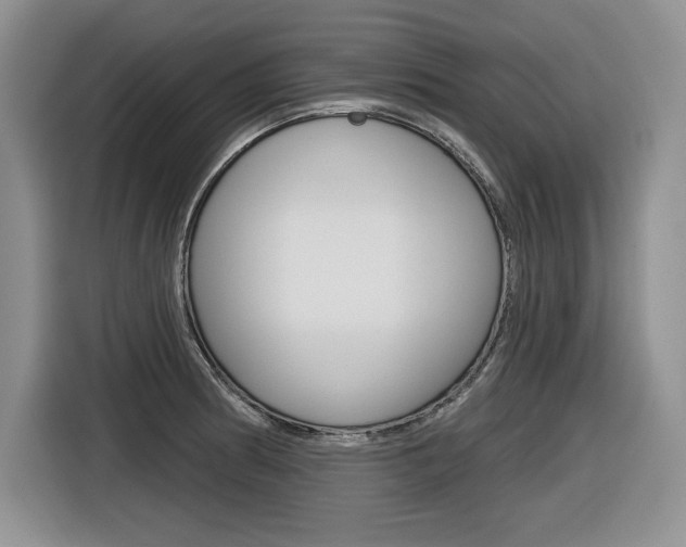 X0000116631186200912110955