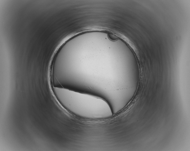 X0000116631187200912110955