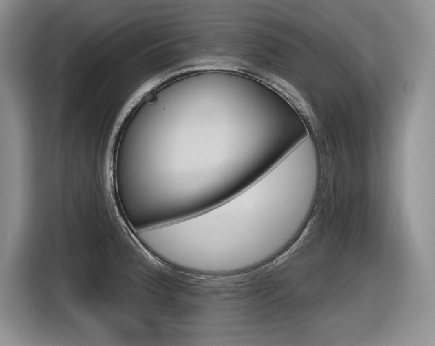 X0000116631188200912110955