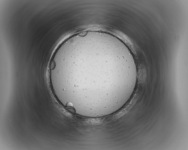 X0000116631190200912110954