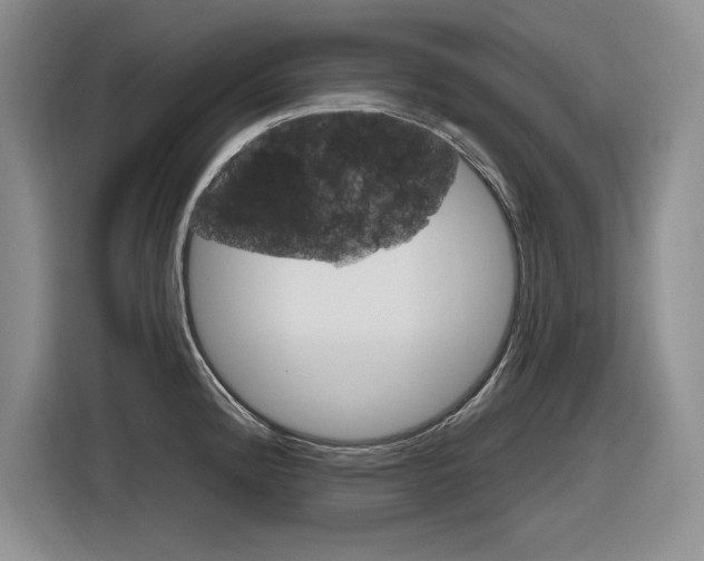 X0000116631192200912110954