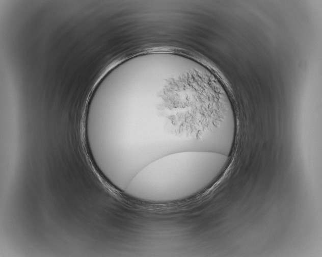X0000116631194200912110954