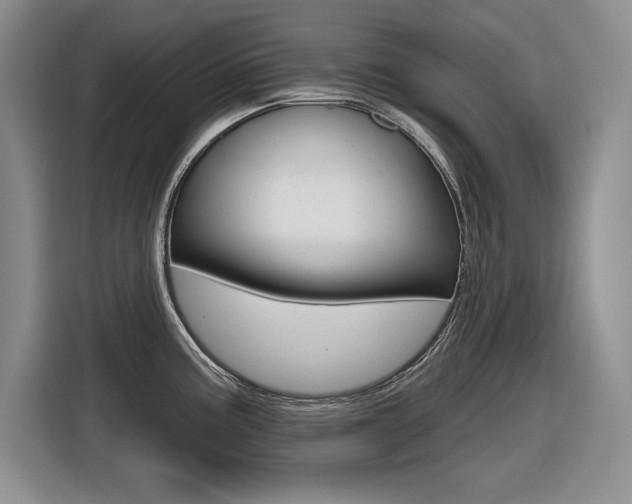 X0000116631195200912110954