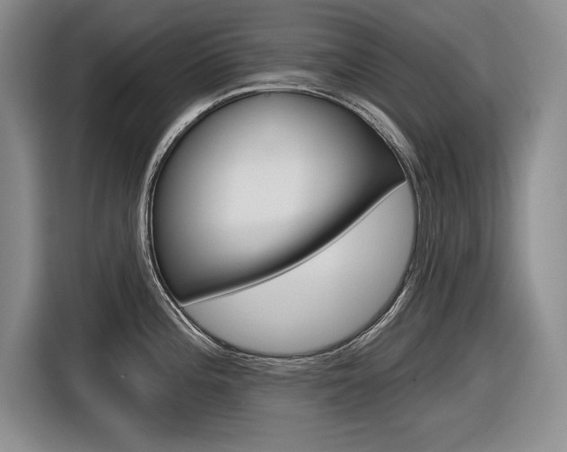 X0000116631196200912110954
