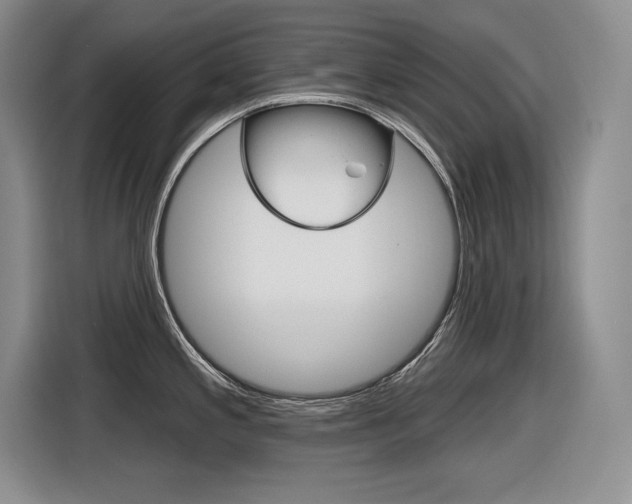 X0000116631197200912110954