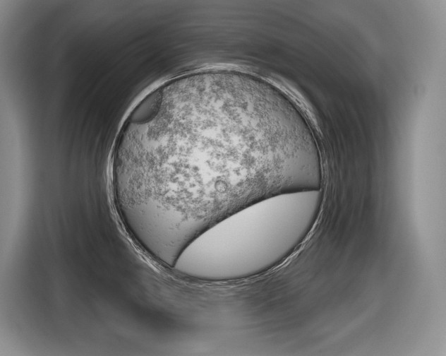 X0000116631198200912110954
