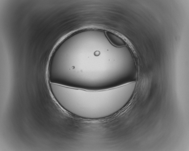 X0000116631199200912110954