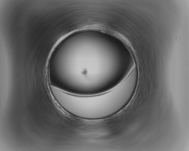 X0000116631200200912110954