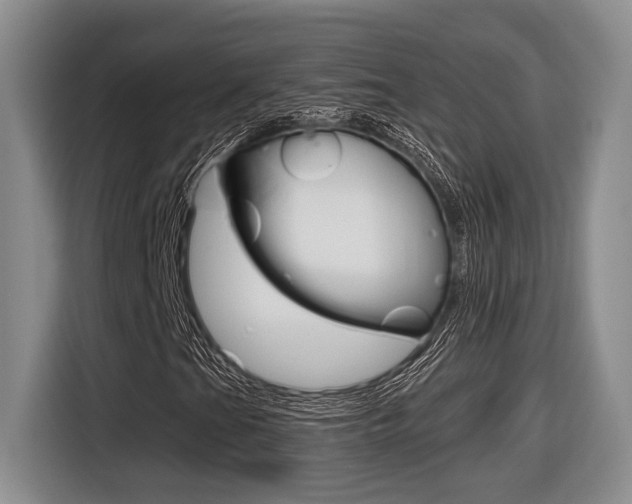 X0000116631201200912110954