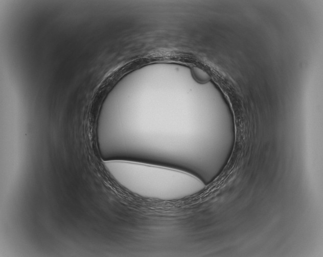 X0000116631206200912110954