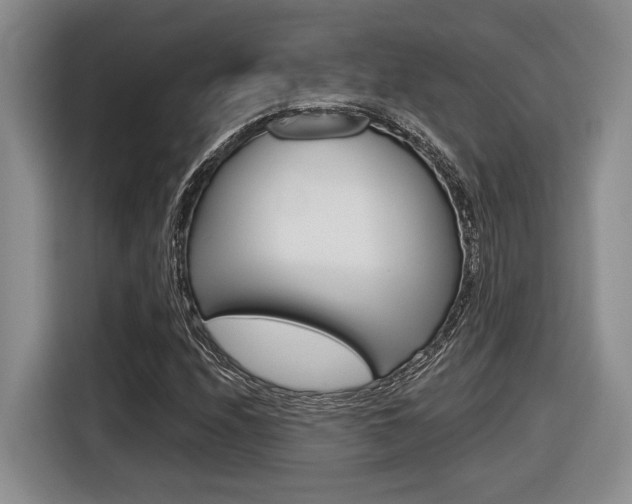 X0000116631208200912110954