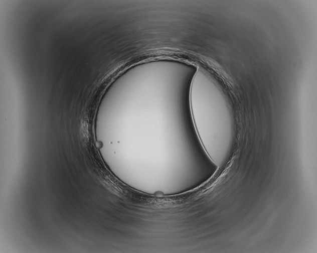 X0000116631209200912110954