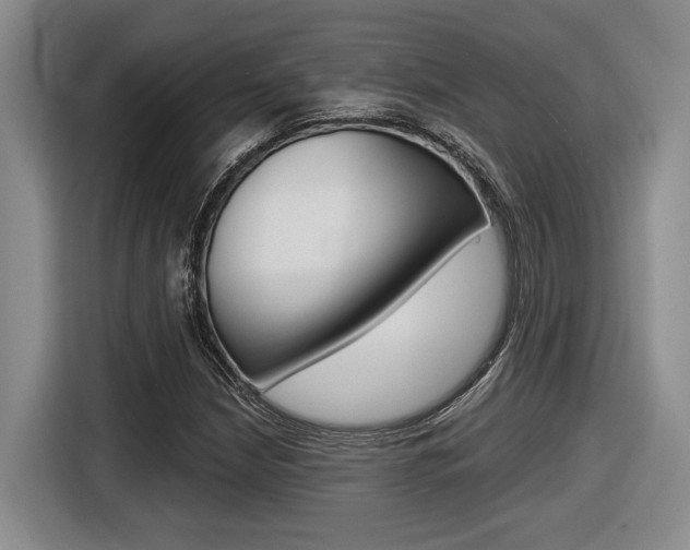 X0000116631210200912110954