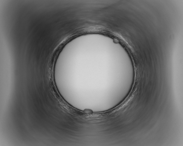 X0000116631211200912110954