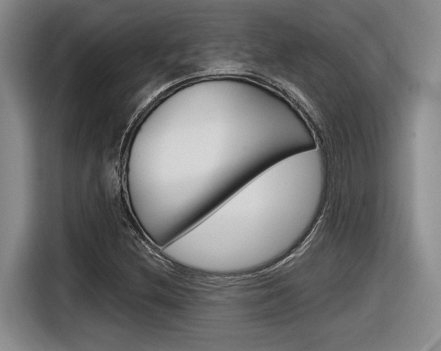 X0000116631212200912110954