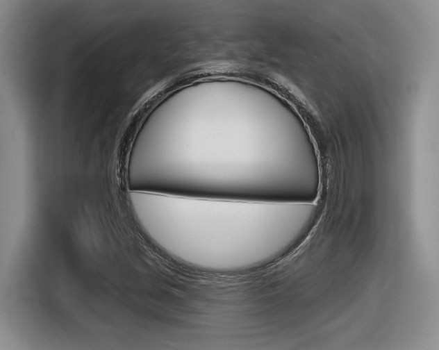 X0000116631213200912110954