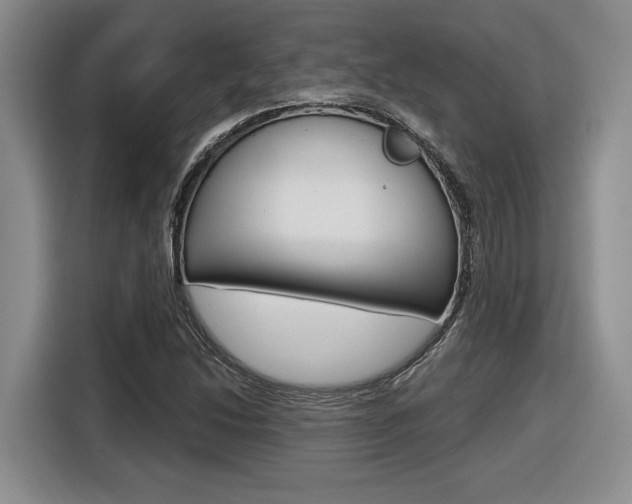 X0000116631214200912110954