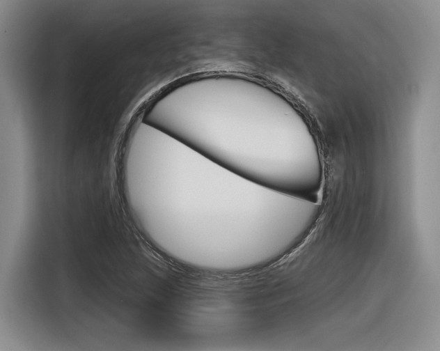 X0000116631215200912110954